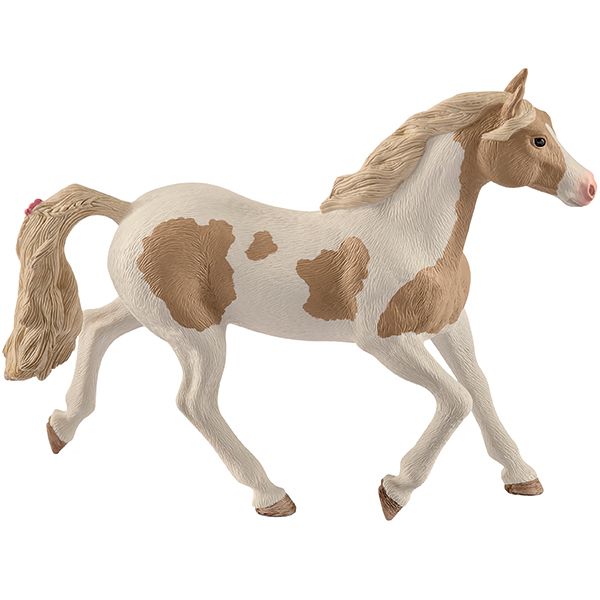 Paint Horse Stute