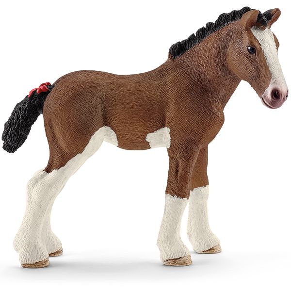 Clydesdale Fohlen